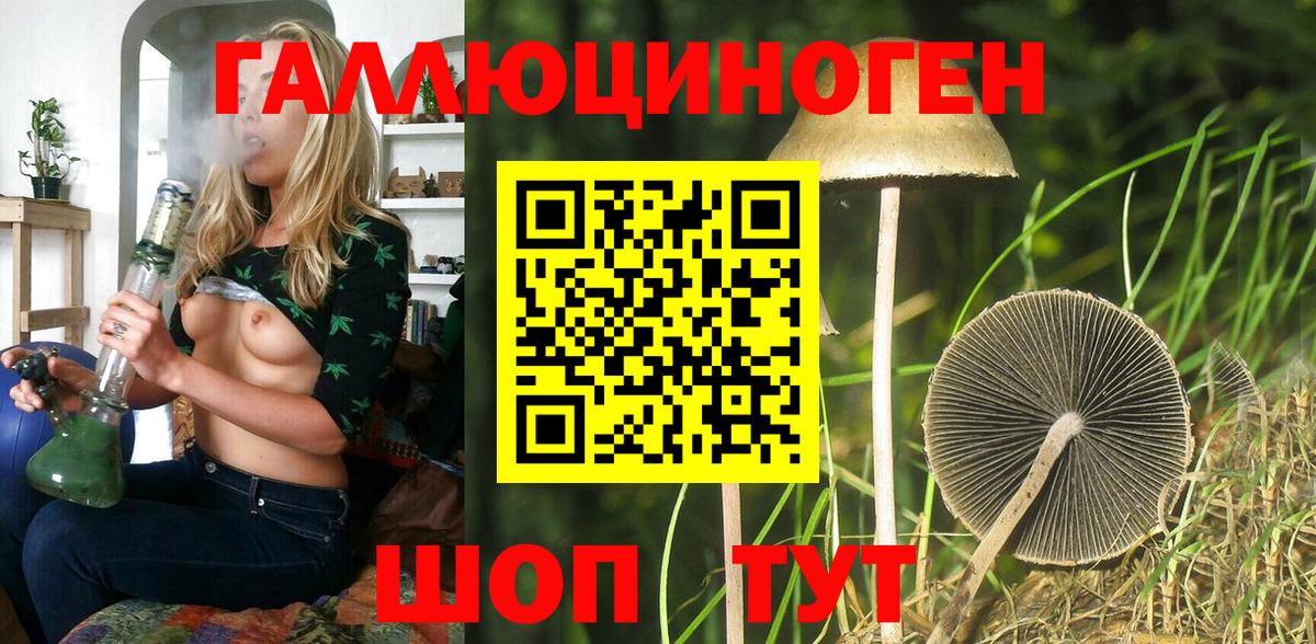 Галлюциногенные грибы Magic Shrooms Черногорск