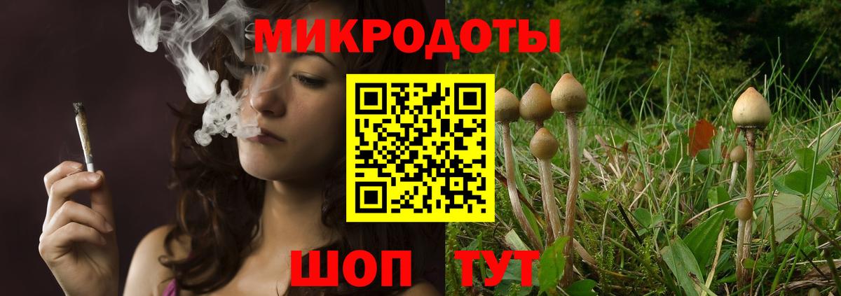 Черногорск  Галлюциногенные грибы MAGIC MUSHROOMS  Вход с VPN 